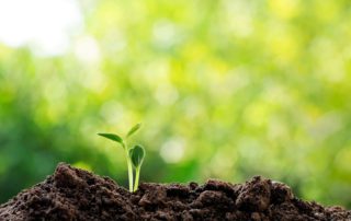 corporate social responsibility